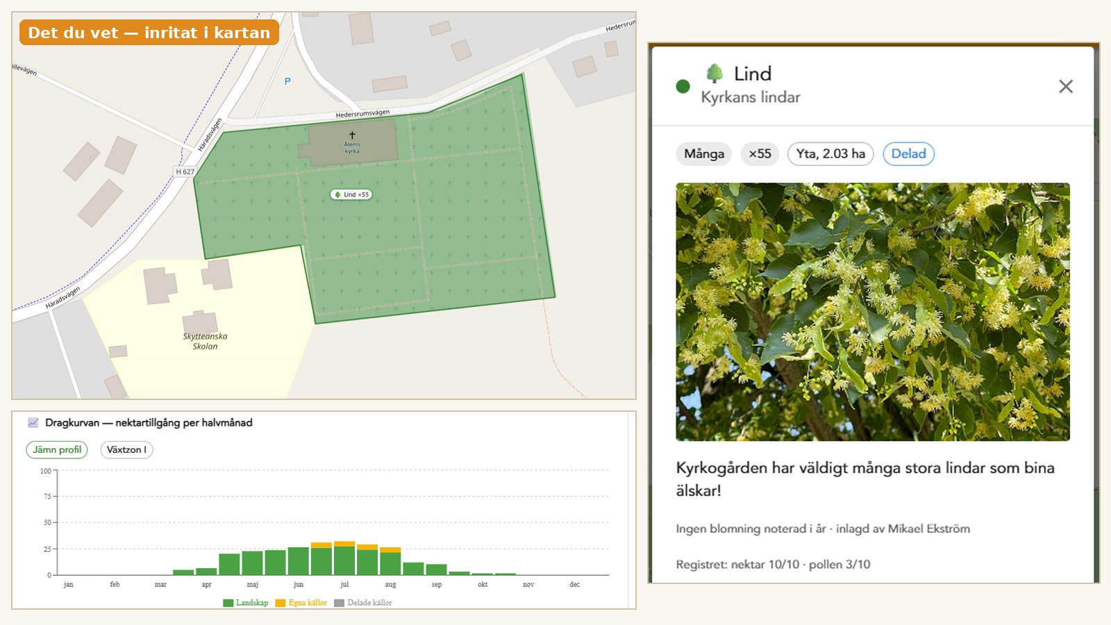 Ön utan skog — så räknar vi på vad bina hittar